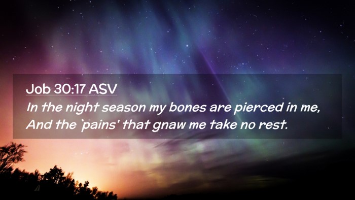 Picture 02 - Job 30:17 ASV Desktop Wallpaper - In the night season my bones are pierced in me, - Desktop Bible Verse Wallpaper