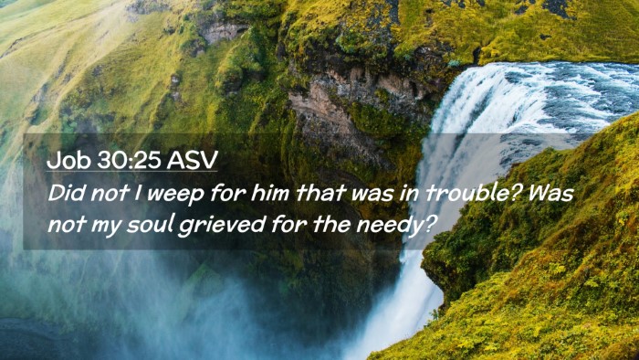 Picture 02 - Job 30:25 ASV Desktop Wallpaper - Did not I weep for him that was in trouble? Was - Desktop Bible Verse Wallpaper