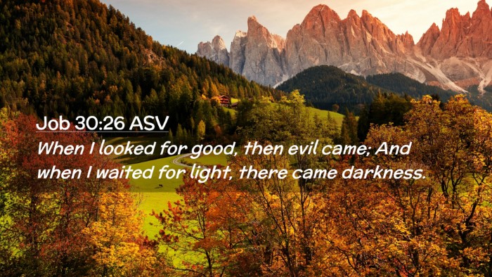 Picture 02 - Job 30:26 ASV Desktop Wallpaper - When I looked for good, then evil came; And when - Desktop Bible Verse Wallpaper