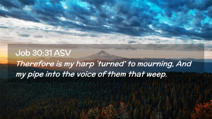 Picture 02 - Job 30:31 ASV Desktop Wallpaper - Therefore is my harp `turned' to mourning, And my - Desktop Bible Verse Wallpaper