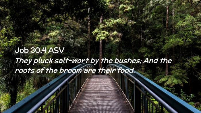 Picture 02 - Job 30:4 ASV Desktop Wallpaper - They pluck salt-wort by the bushes; And the roots - Desktop Bible Verse Wallpaper