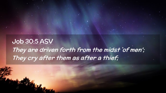 Picture 02 - Job 30:5 ASV Desktop Wallpaper - They are driven forth from the midst `of men'; - Desktop Bible Verse Wallpaper