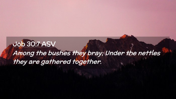 Picture 02 - Job 30:7 ASV Desktop Wallpaper - Among the bushes they bray; Under the nettles - Desktop Bible Verse Wallpaper