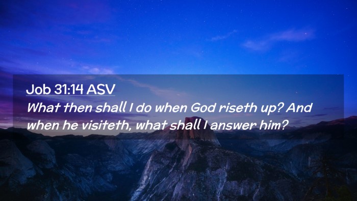 Picture 02 - Job 31:14 ASV Desktop Wallpaper - What then shall I do when God riseth up? And when - Desktop Bible Verse Wallpaper
