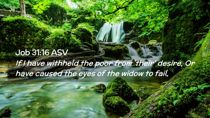 Picture 02 - Job 31:16 ASV Desktop Wallpaper - If I have withheld the poor from `their' desire, - Desktop Bible Verse Wallpaper