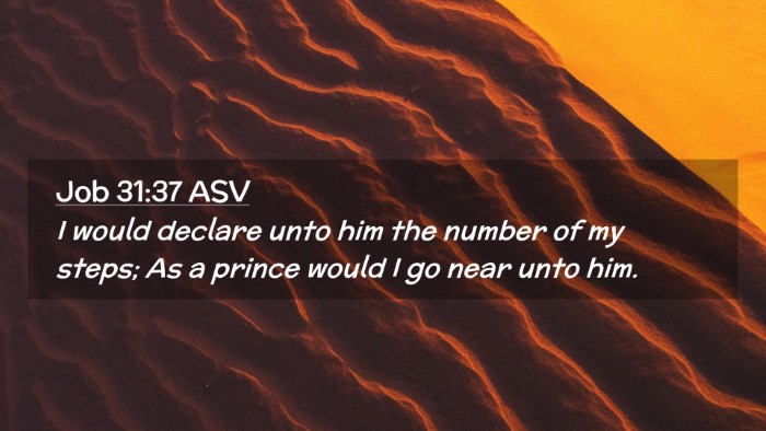 Picture 02 - Job 31:37 ASV Desktop Wallpaper - I would declare unto him the number of my steps; - Desktop Bible Verse Wallpaper