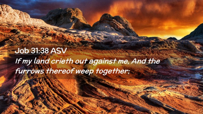 Picture 02 - Job 31:38 ASV Desktop Wallpaper - If my land crieth out against me, And the furrows - Desktop Bible Verse Wallpaper