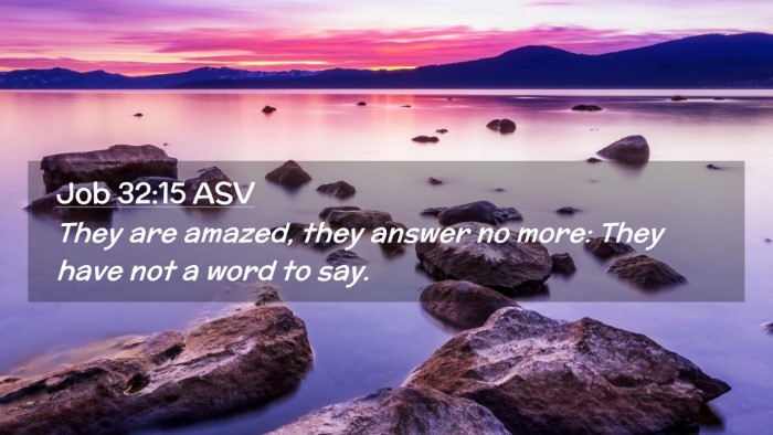 Picture 02 - Job 32:15 ASV Desktop Wallpaper - They are amazed, they answer no more: They have - Desktop Bible Verse Wallpaper