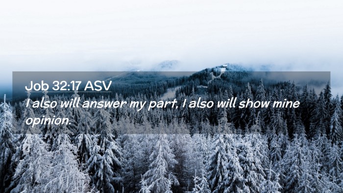 Picture 02 - Job 32:17 ASV Desktop Wallpaper - I also will answer my part, I also will show mine - Desktop Bible Verse Wallpaper