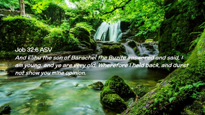 Picture 02 - Job 32:6 ASV Desktop Wallpaper - And Elihu the son of Barachel the Buzite answered - Desktop Bible Verse Wallpaper