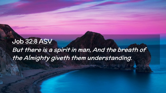 Picture 02 - Job 32:8 ASV Desktop Wallpaper - But there is a spirit in man, And the breath of - Desktop Bible Verse Wallpaper