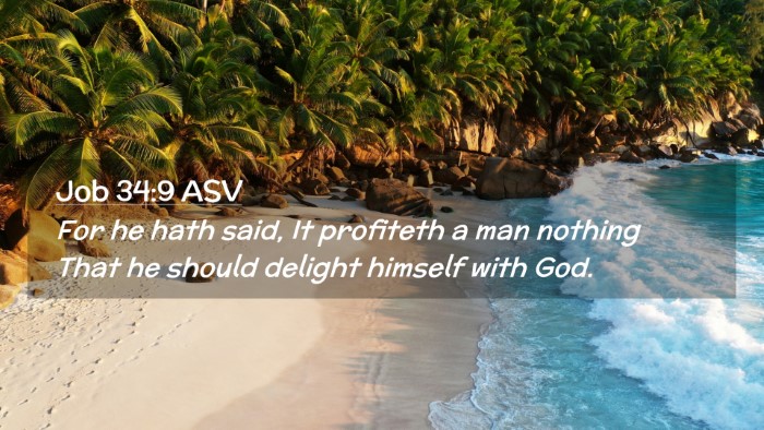 Picture 02 - Job 34:9 ASV Desktop Wallpaper - For he hath said, It profiteth a man nothing That - Desktop Bible Verse Wallpaper
