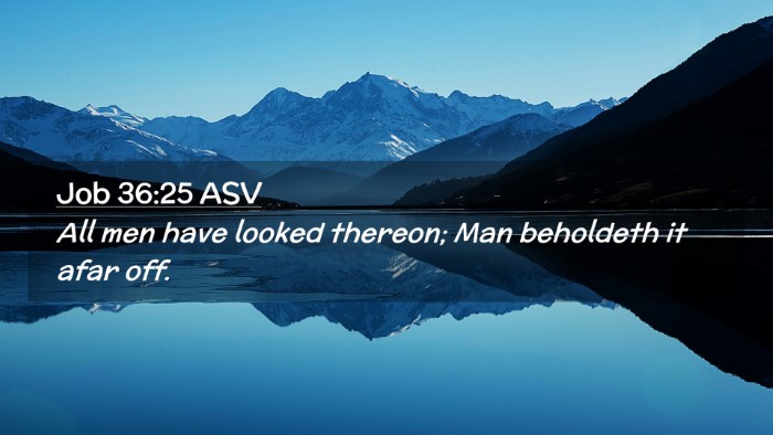 Picture 02 - Job 36:25 ASV Desktop Wallpaper - All men have looked thereon; Man beholdeth it - Desktop Bible Verse Wallpaper