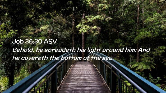 Picture 02 - Job 36:30 ASV Desktop Wallpaper - Behold, he spreadeth his light around him; And he - Desktop Bible Verse Wallpaper