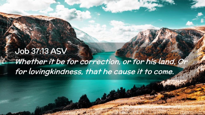 Picture 02 - Job 37:13 ASV Desktop Wallpaper - Whether it be for correction, or for his land, Or - Desktop Bible Verse Wallpaper