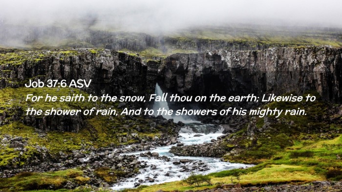 Picture 02 - Job 37:6 ASV Desktop Wallpaper - For he saith to the snow, Fall thou on the earth; - Desktop Bible Verse Wallpaper