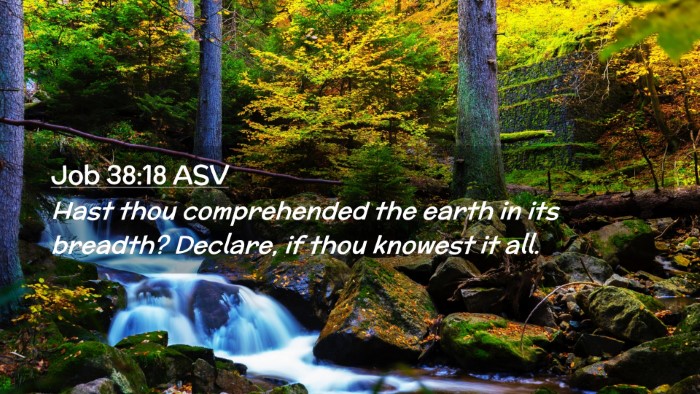 Picture 02 - Job 38:18 ASV Desktop Wallpaper - Hast thou comprehended the earth in its breadth? - Desktop Bible Verse Wallpaper