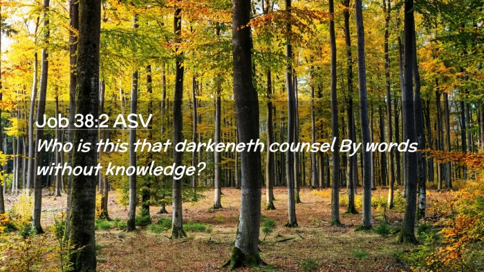 Picture 02 - Job 38:2 ASV Desktop Wallpaper - Who is this that darkeneth counsel By words - Desktop Bible Verse Wallpaper