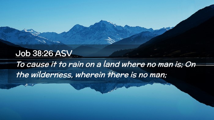 Picture 02 - Job 38:26 ASV Desktop Wallpaper - To cause it to rain on a land where no man is; On - Desktop Bible Verse Wallpaper