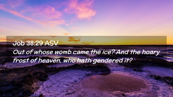 Picture 02 - Job 38:29 ASV Desktop Wallpaper - Out of whose womb came the ice? And the hoary - Desktop Bible Verse Wallpaper