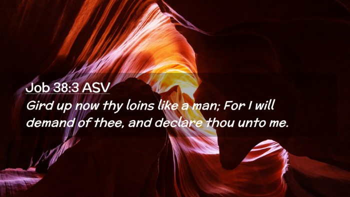 Picture 02 - Job 38:3 ASV Desktop Wallpaper - Gird up now thy loins like a man; For I will - Desktop Bible Verse Wallpaper