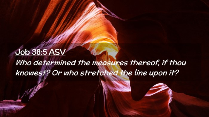 Picture 02 - Job 38:5 ASV Desktop Wallpaper - Who determined the measures thereof, if thou - Desktop Bible Verse Wallpaper