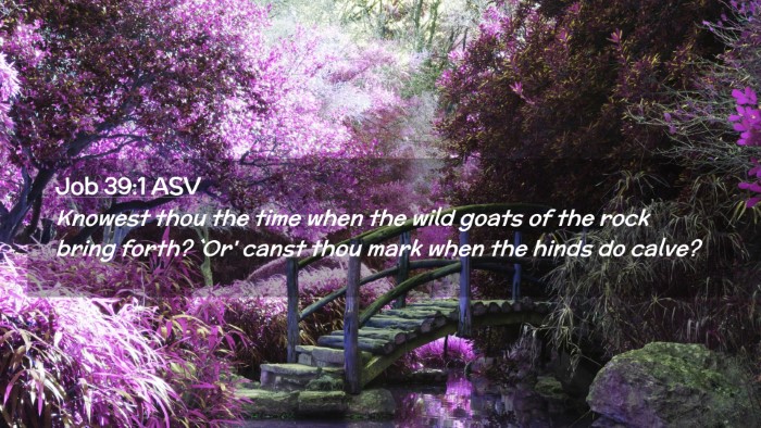 Picture 02 - Job 39:1 ASV Desktop Wallpaper - Knowest thou the time when the wild goats of the - Desktop Bible Verse Wallpaper