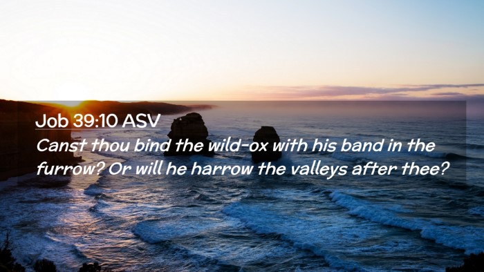 Picture 02 - Job 39:10 ASV Desktop Wallpaper - Canst thou bind the wild-ox with his band in the - Desktop Bible Verse Wallpaper