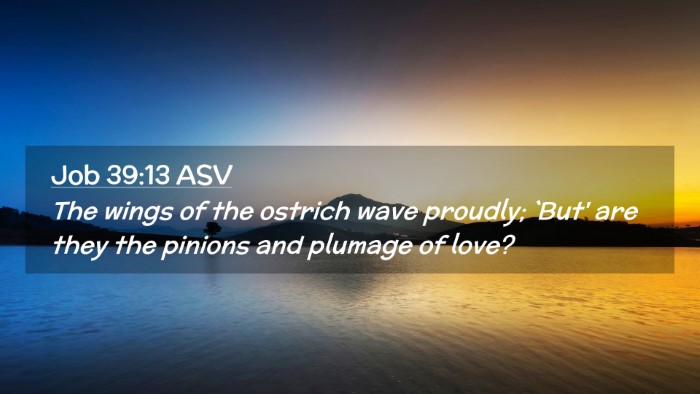 Picture 02 - Job 39:13 ASV Desktop Wallpaper - The wings of the ostrich wave proudly; `But' are - Desktop Bible Verse Wallpaper