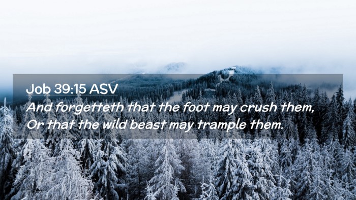 Picture 02 - Job 39:15 ASV Desktop Wallpaper - And forgetteth that the foot may crush them, Or - Desktop Bible Verse Wallpaper