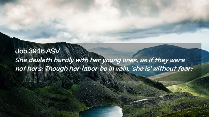 Picture 02 - Job 39:16 ASV Desktop Wallpaper - She dealeth hardly with her young ones, as if - Desktop Bible Verse Wallpaper