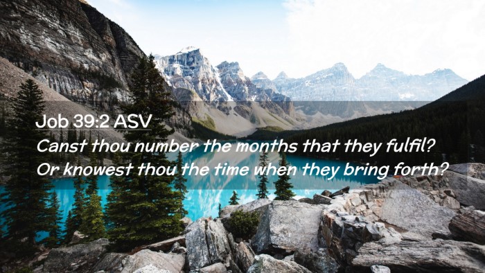 Picture 02 - Job 39:2 ASV Desktop Wallpaper - Canst thou number the months that they fulfil? Or - Desktop Bible Verse Wallpaper
