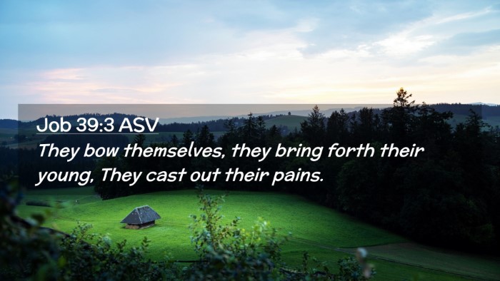 Picture 02 - Job 39:3 ASV Desktop Wallpaper - They bow themselves, they bring forth their - Desktop Bible Verse Wallpaper
