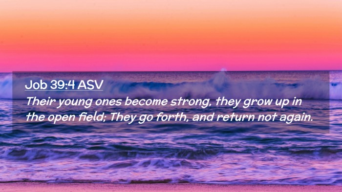 Picture 02 - Job 39:4 ASV Desktop Wallpaper - Their young ones become strong, they grow up in - Desktop Bible Verse Wallpaper