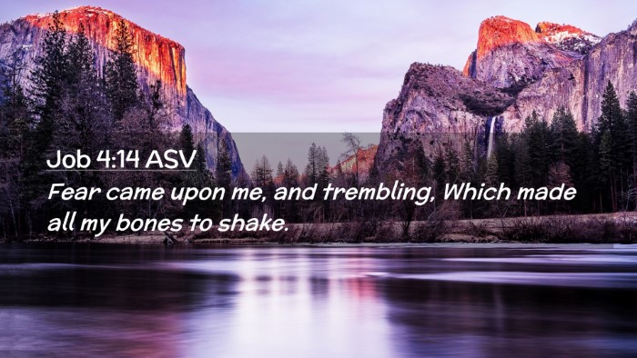 Picture 02 - Job 4:14 ASV Desktop Wallpaper - Fear came upon me, and trembling, Which made all - Desktop Bible Verse Wallpaper