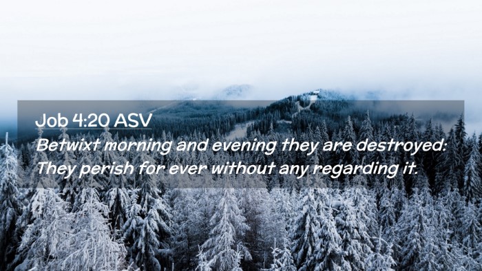 Picture 02 - Job 4:20 ASV Desktop Wallpaper - Betwixt morning and evening they are destroyed: - Desktop Bible Verse Wallpaper