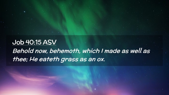 Picture 02 - Job 40:15 ASV Desktop Wallpaper - Behold now, behemoth, which I made as well as - Desktop Bible Verse Wallpaper