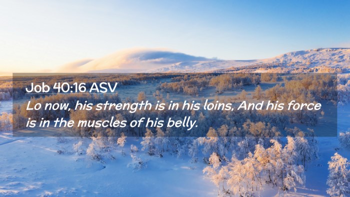 Picture 02 - Job 40:16 ASV Desktop Wallpaper - Lo now, his strength is in his loins, And his - Desktop Bible Verse Wallpaper
