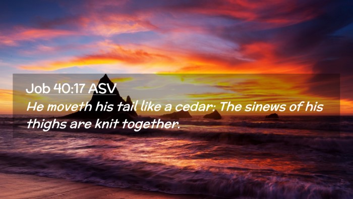 Picture 02 - Job 40:17 ASV Desktop Wallpaper - He moveth his tail like a cedar: The sinews of - Desktop Bible Verse Wallpaper