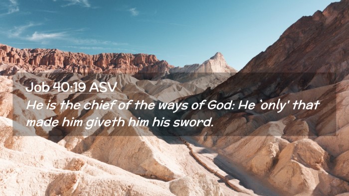 Picture 02 - Job 40:19 ASV Desktop Wallpaper - He is the chief of the ways of God: He `only' - Desktop Bible Verse Wallpaper