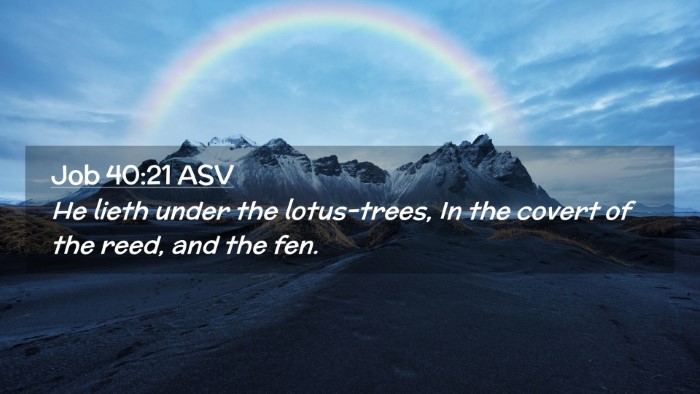 Picture 02 - Job 40:21 ASV Desktop Wallpaper - He lieth under the lotus-trees, In the covert of - Desktop Bible Verse Wallpaper