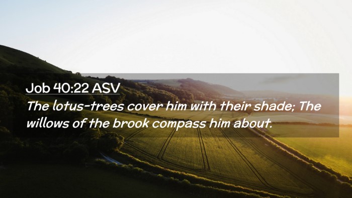 Picture 02 - Job 40:22 ASV Desktop Wallpaper - The lotus-trees cover him with their shade; The - Desktop Bible Verse Wallpaper