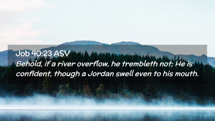 Picture 02 - Job 40:23 ASV Desktop Wallpaper - Behold, if a river overflow, he trembleth not; He - Desktop Bible Verse Wallpaper
