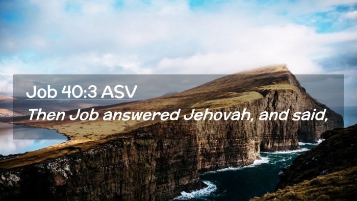 Picture 02 - Job 40:3 ASV Desktop Wallpaper - Then Job answered Jehovah, and - Desktop Bible Verse Wallpaper
