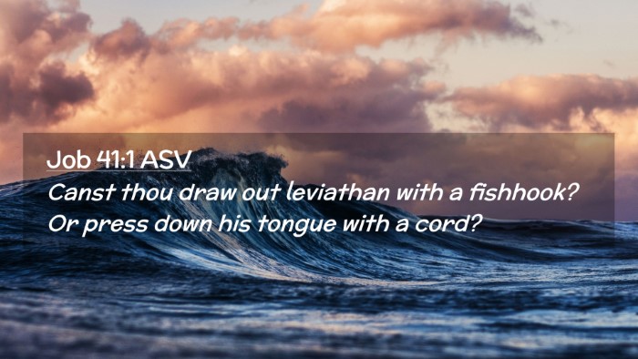Picture 02 - Job 41:1 ASV Desktop Wallpaper - Canst thou draw out leviathan with a fishhook? Or - Desktop Bible Verse Wallpaper