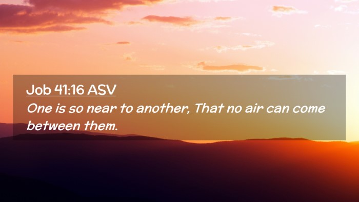 Picture 02 - Job 41:16 ASV Desktop Wallpaper - One is so near to another, That no air can come - Desktop Bible Verse Wallpaper