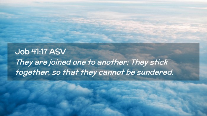 Picture 02 - Job 41:17 ASV Desktop Wallpaper - They are joined one to another; They stick - Desktop Bible Verse Wallpaper
