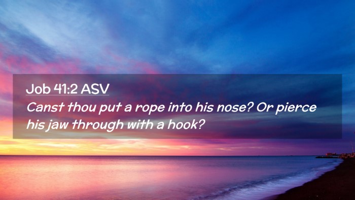 Picture 02 - Job 41:2 ASV Desktop Wallpaper - Canst thou put a rope into his nose? Or pierce - Desktop Bible Verse Wallpaper