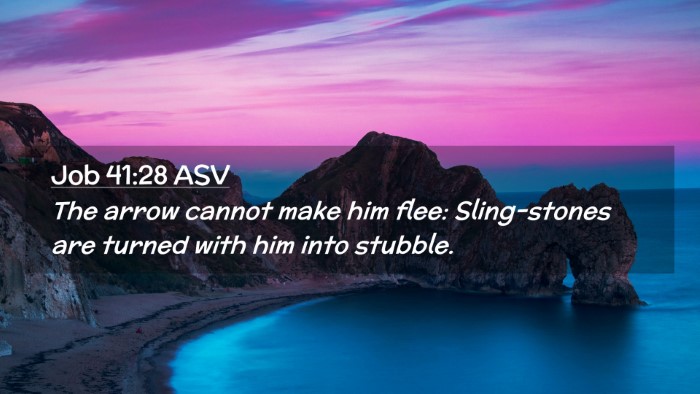 Picture 02 - Job 41:28 ASV Desktop Wallpaper - The arrow cannot make him flee: Sling-stones are - Desktop Bible Verse Wallpaper