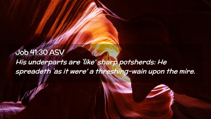Picture 02 - Job 41:30 ASV Desktop Wallpaper - His underparts are `like' sharp potsherds: He - Desktop Bible Verse Wallpaper